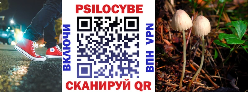 где можно купить   Железногорск-Илимский  Галлюциногенные грибы мицелий 